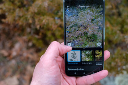 Google Lens: Leaps of optical searches surpassing 12 billion every month