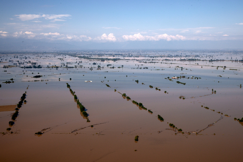 These are the advances of plant and animal compensation for flood victims in Thessaly