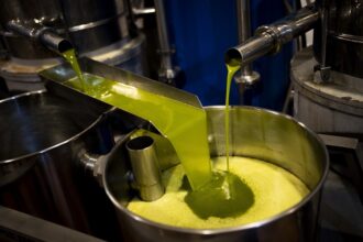 Olive oil has reached shock prices - At 9.25 euros a liter is sold wholesale