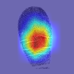 Artificial intelligence shatters a long-held belief in forensics about fingerprints