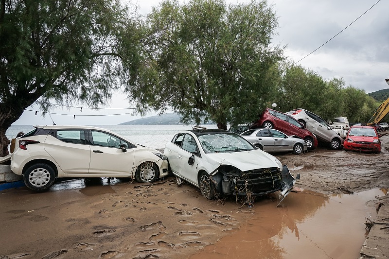 Mandatory insurance for large businesses and motor vehicles against natural disasters