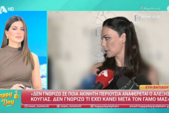 Evi Vatidou: "I don't know what property Alexis Kougias refers to"