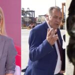 A customs officer thought that Maria Anastasopoulou was flirting with him on air and she was talking about the... dog