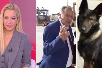 A customs officer thought that Maria Anastasopoulou was flirting with him on air and she was talking about the... dog