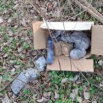 Couple arrested while attempting to bury 10kg of heroin in a forest area