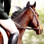 Horse Riding Trainer was denounced for sexual harassment by his students